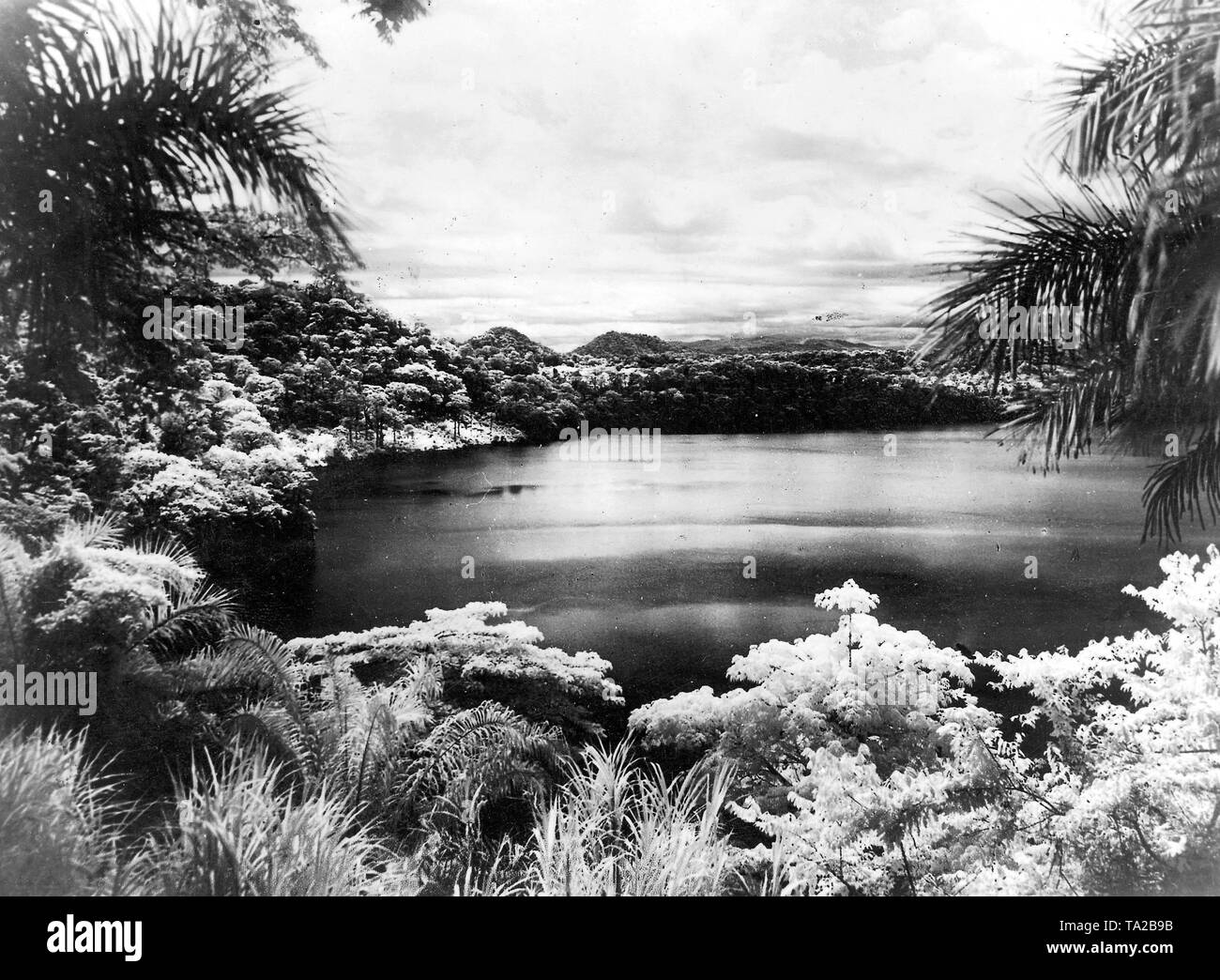 La Elefanten mare (lago di elefante) incorniciata da palme. Foto Stock