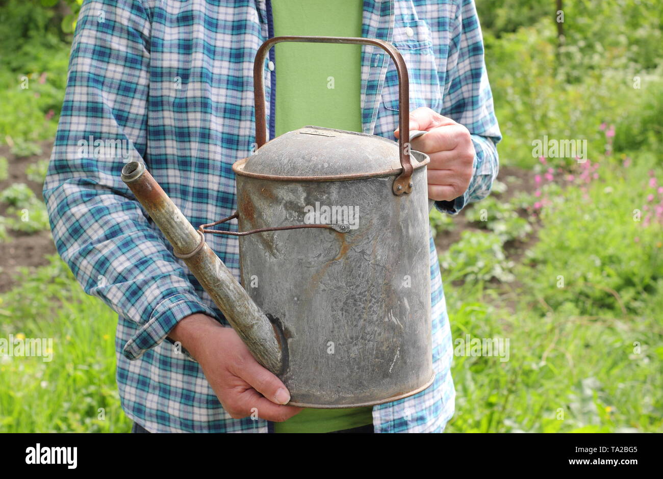 L uomo si prepara ad acqua giardino da un metallo annaffiatoio in tarda primavera - REGNO UNITO Foto Stock