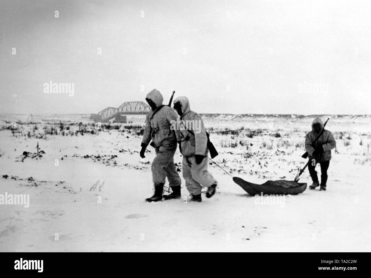 I soldati tedeschi tirare una slitta (Akia) con munizioni e alimentare per la coperta di neve distese sulle rive del fiume Volkhov (vicino alla città di Kirishi). Foto di Propaganda Company (PK): corrispondente di guerra Wolkenstoerfer. Foto Stock