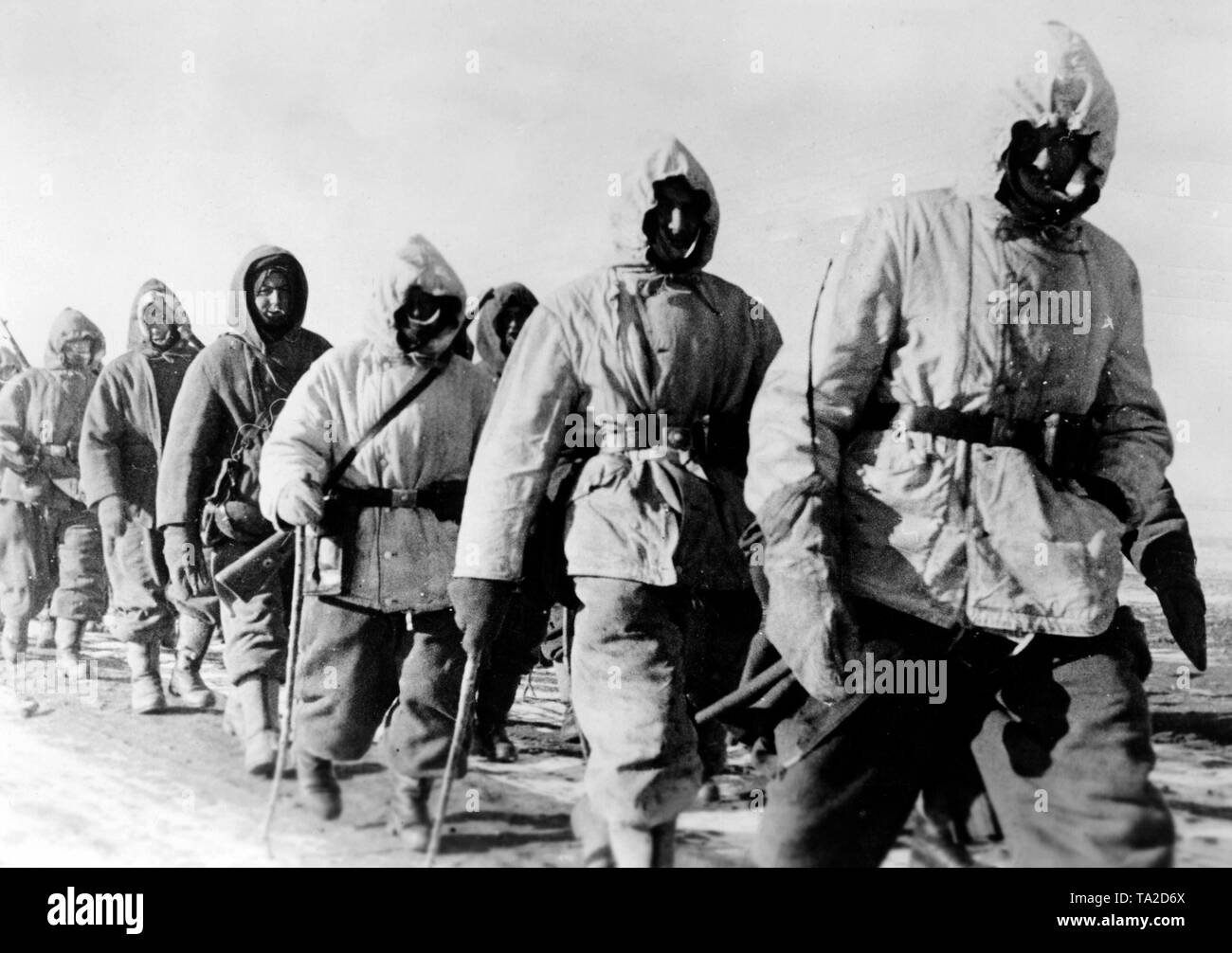 I soldati tedeschi marzo su una strada lungo il Don piegare in gelide temperature. Foto di Propaganda Company (PK): corrispondente di guerra Kripgans Foto Stock