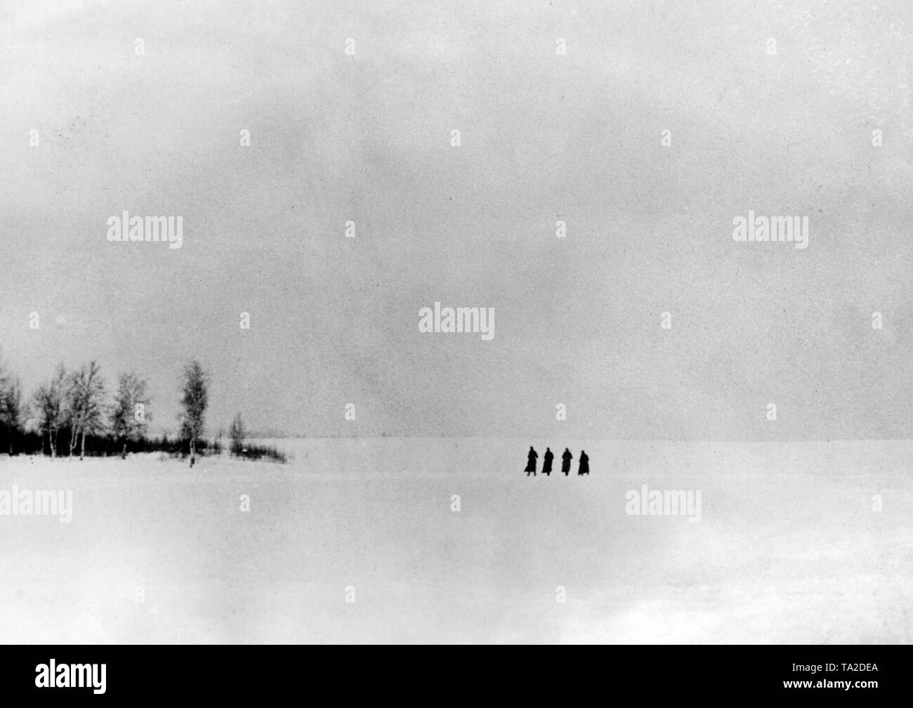 I soldati tedeschi marzo in snow-capped prati e campi a ovest della capitale russa. Sulla sinistra sono tipici di betulle. (PK-foto). Foto Stock