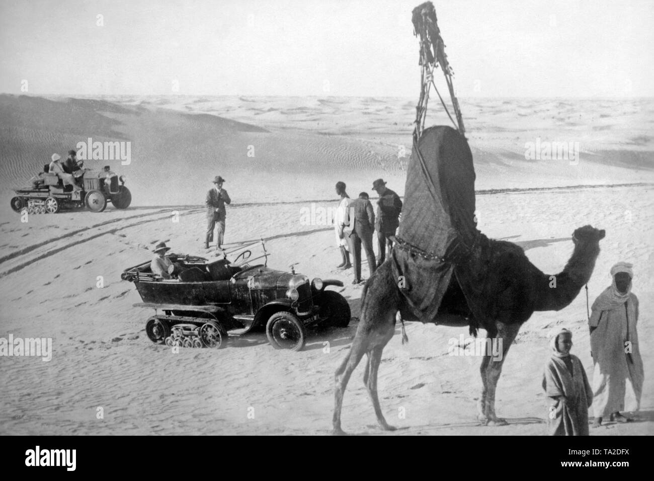 Un molto carico cammello nel deserto intorno a Il Cairo, dietro di esso i viaggiatori in ed intorno a vetture turismo con caterpillar-simili costruzioni. Foto Stock