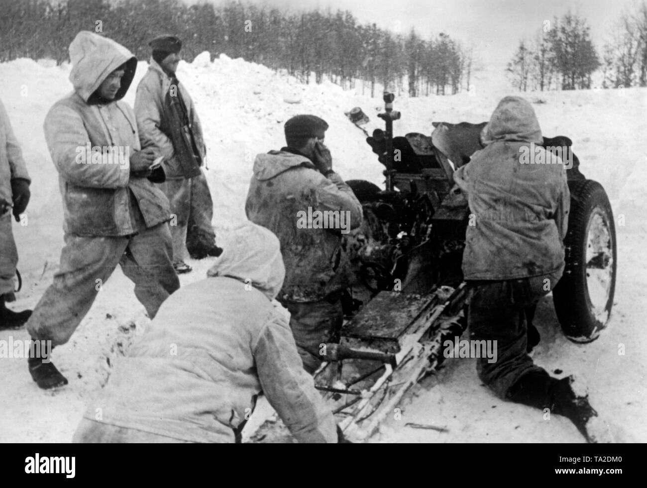 I soldati tedeschi con un 7.5 cm Pak 40 su un campo nevoso vicino alla cittadina di Trosna (circa 60 km a sud-ovest di Oryol (Orel). Foto di Propaganda Company (PK): corrispondente di guerra Lang. Foto Stock