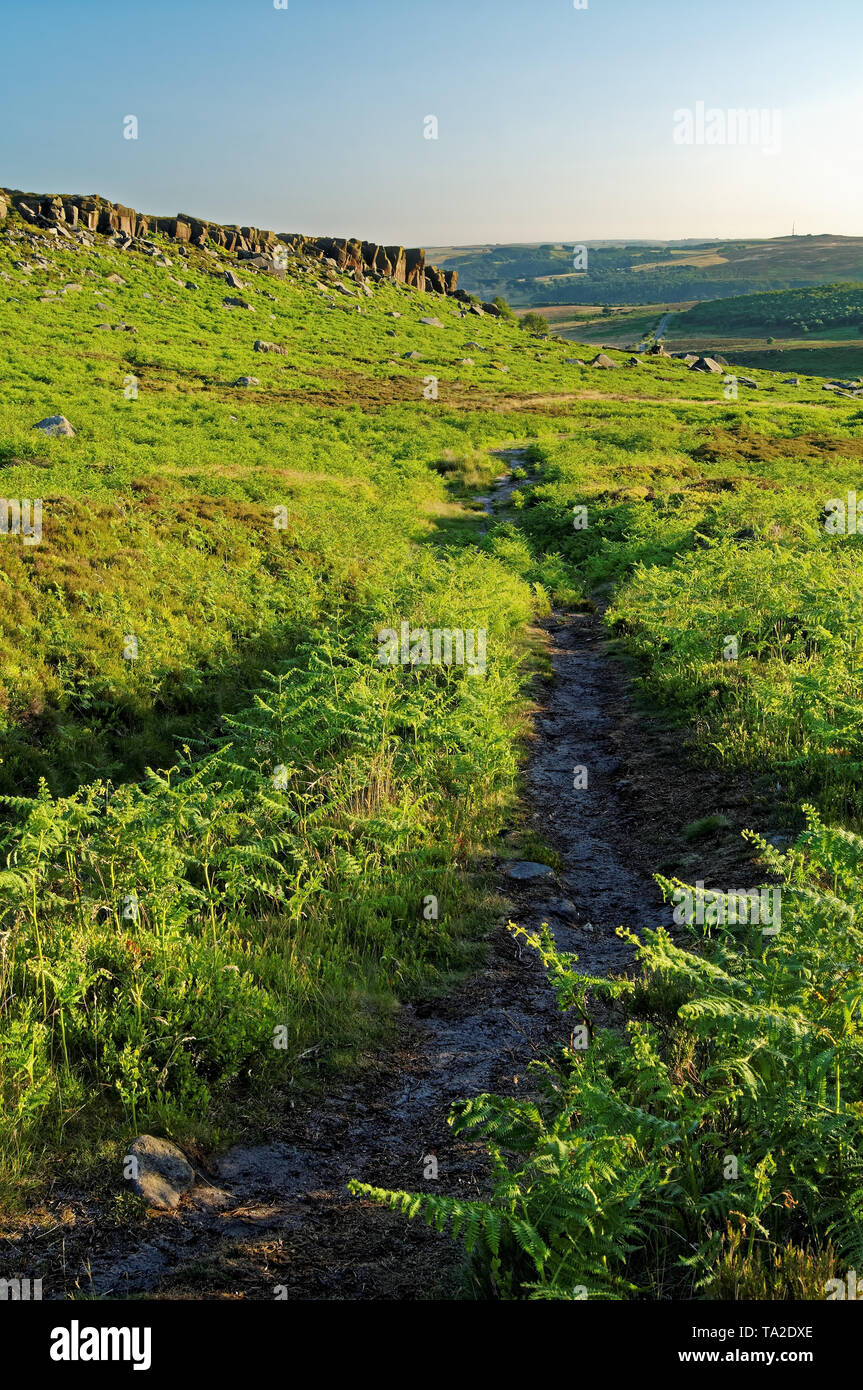 UK,SouthYorkshire,Peak District,sentiero attraverso superiore Valle Burbage passato bordo Burbage Foto Stock