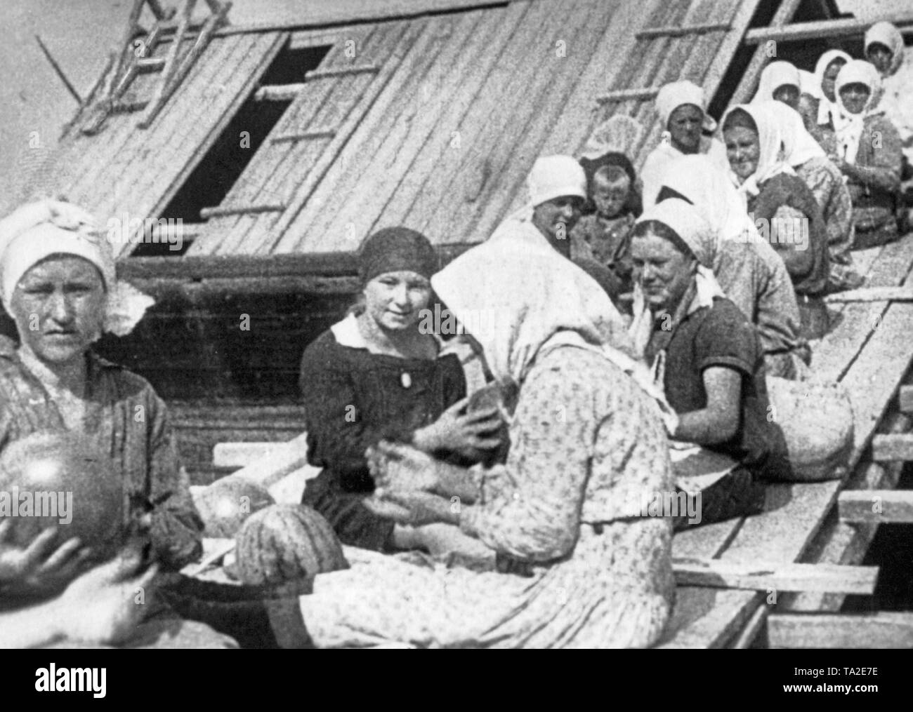 I coloni tedeschi in Russia fino al 1945, URSS - politica Foto Stock