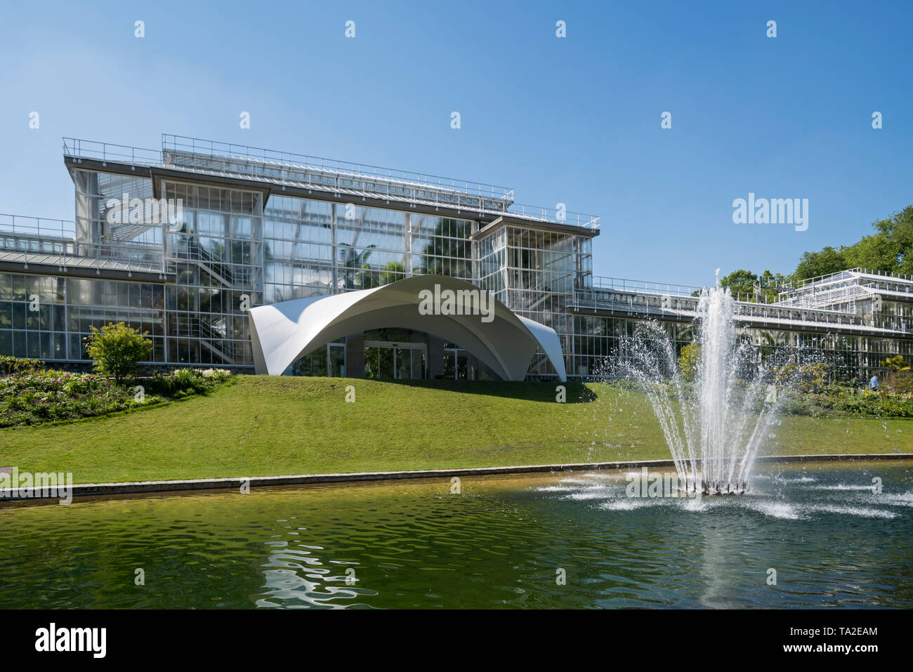 La pianta di Serra Palace presso il giardino botanico di Meise / Plantentuin Meise vicino a Bruxelles, in Belgio Foto Stock