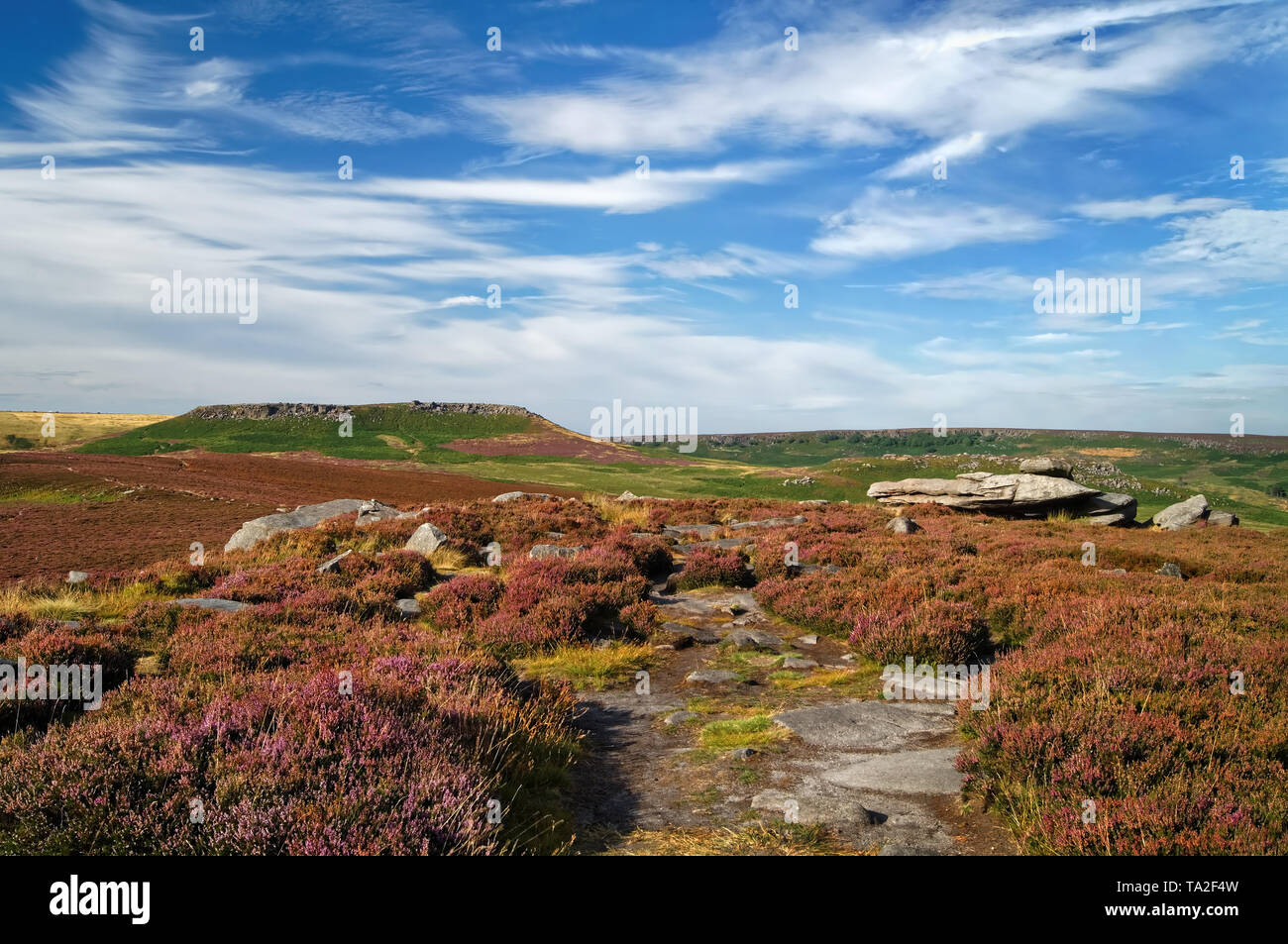 UK,South Yorkshire,Peak District,vicino a Sheffield, oltre Owler Tor e Higger Tor con Heather in piena fioritura Foto Stock