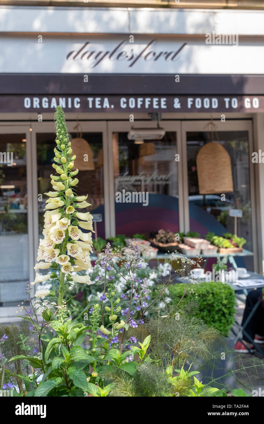 Display floreale al di fuori di Daylesford organico negozio per il Chelsea in Fiore 2019 a Pimlico Road. Il quartiere di Belgravia a Londra, Inghilterra Foto Stock