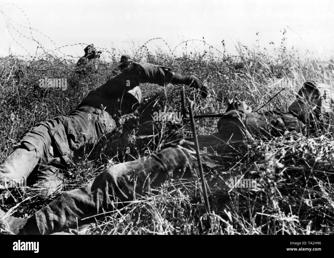 I soldati tedeschi costruire un recinto di filo spinato sul fronte orientale. Foto di Propaganda Company (PK): corrispondente di guerra Lohrer. Foto Stock