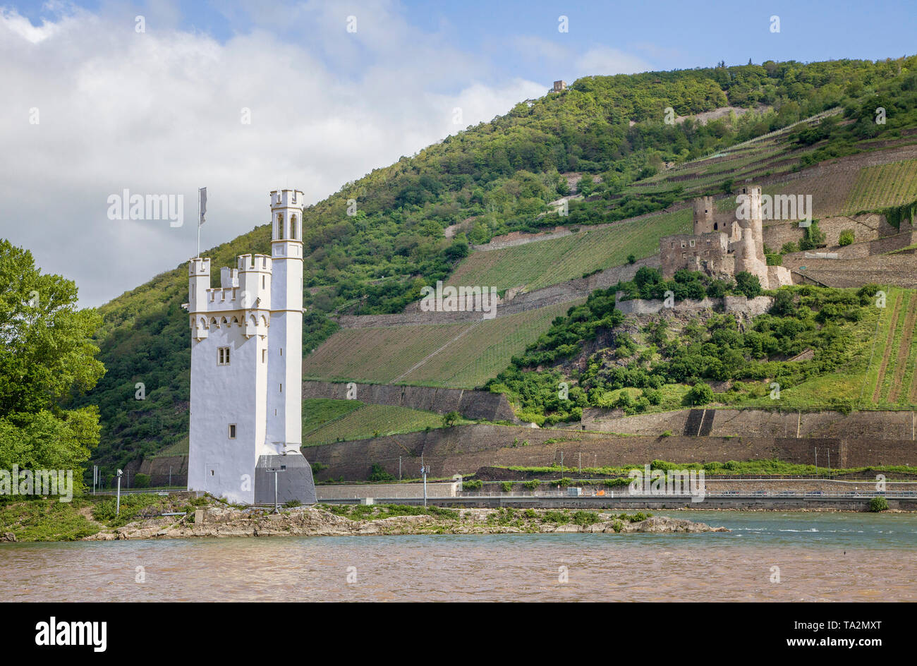 Torre del mouse, dietro il castello di Ehrenfels, sito patrimonio mondiale dell'Unesco, Bingen sul Reno, Valle del Reno superiore e centrale, Renania-Palatinato, Germania Foto Stock