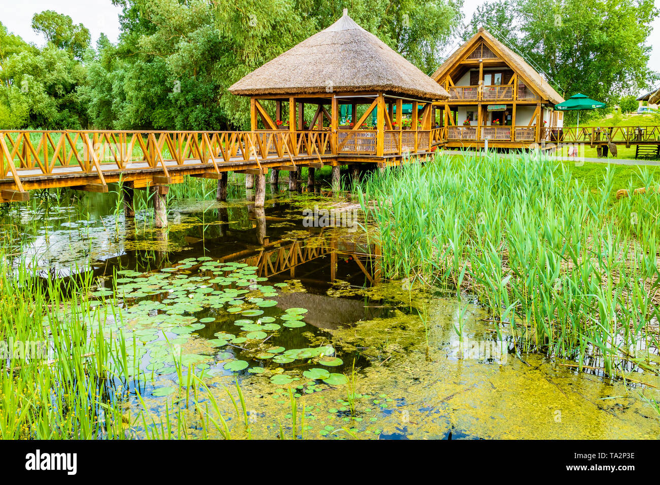 Un centro con un bar per turisti e visitatori sulla passerella di legno a Kopacki rit zone umide del Parco della natura, Kopacevo, Croazia. Maggio 2017. Foto Stock