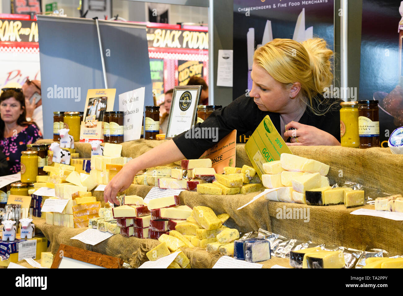 Donna al lavoro su bancarella vendendo la varietà di formaggi, il braccio proteso raggiungendo per la porzione di formaggio - Grande spettacolo dello Yorkshire, Harrogate, Inghilterra, Regno Unito. Foto Stock