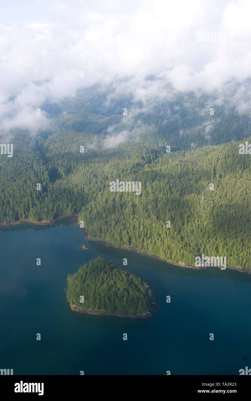 La British Columbia, Canada, salmone Pesca al salmone King Resort, fiumi ingresso, British Columbia, Oak Bay Marine Group. Foto Stock