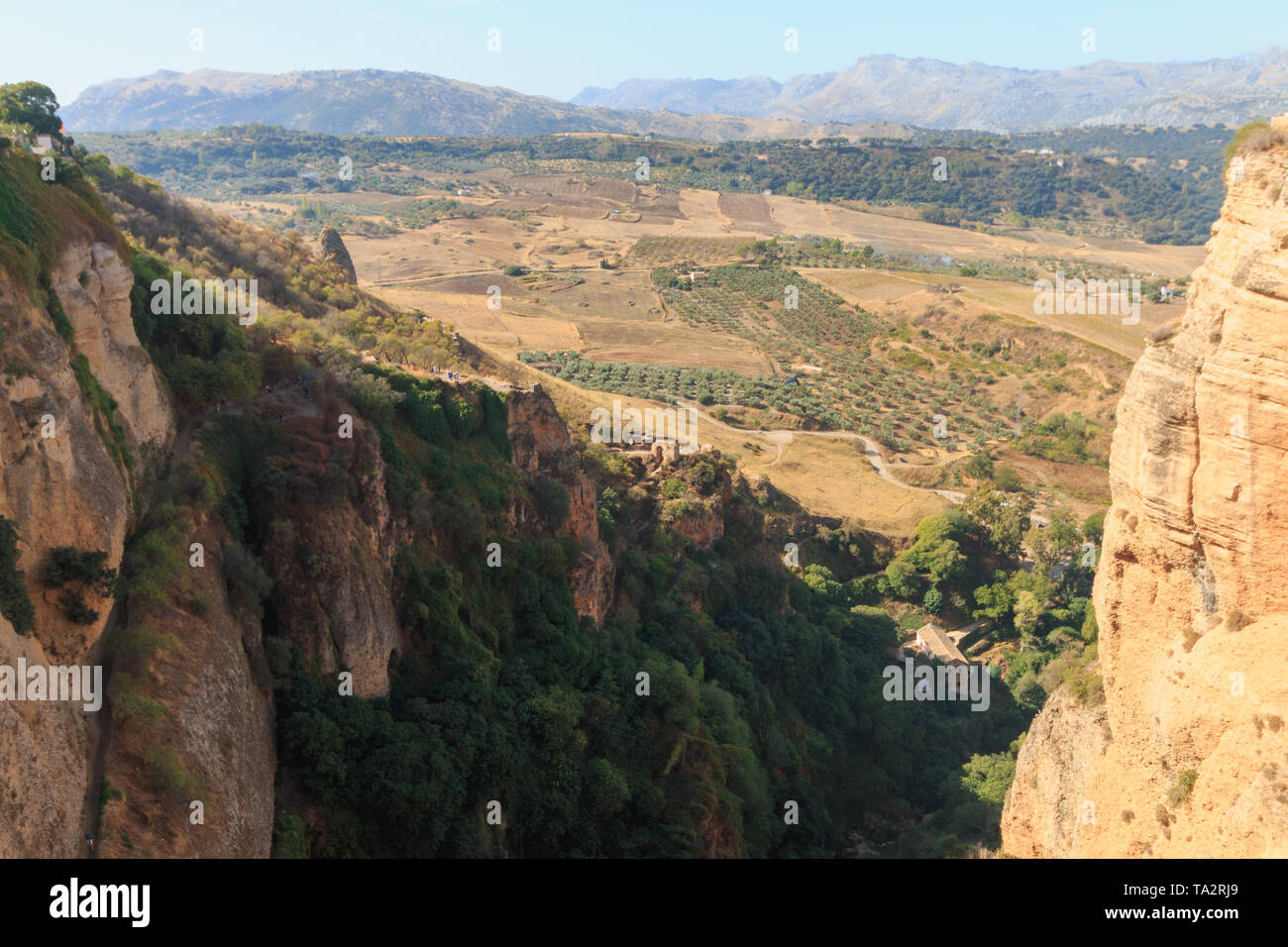 Paesaggi andaluso vicino a Ronda, Spagna a stagione estiva Foto Stock