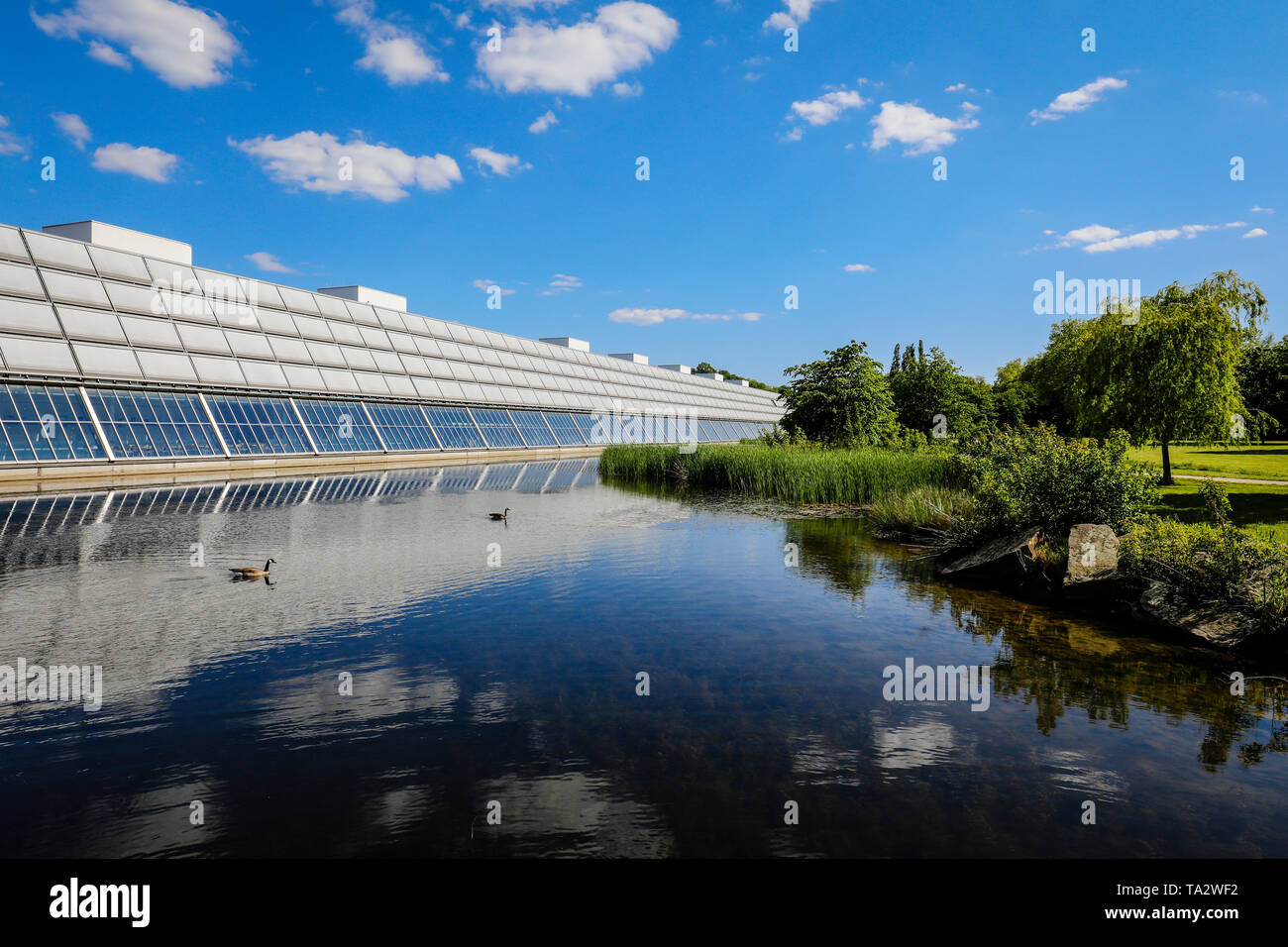 Gelsenkirchen, zona della Ruhr, Renania settentrionale-Vestfalia, Germania - Science Park Gelsenkirchen, sviluppato nel contesto di IBA international building scar Foto Stock