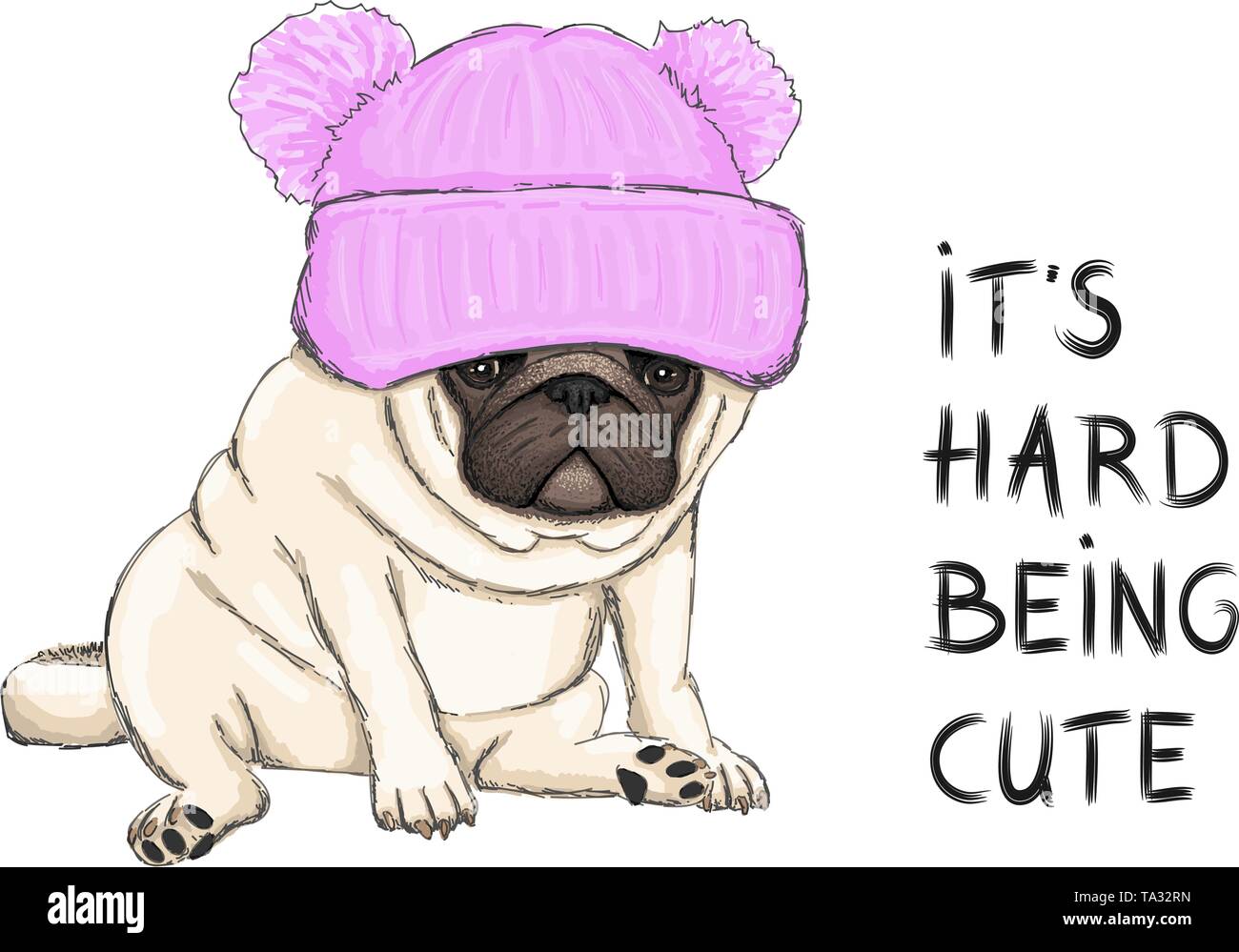 Colorata illustrazione vettoriale di divertenti pug cucciolo di cane seduto con maglia rosa hat e testo il suo disco essendo carino Illustrazione Vettoriale