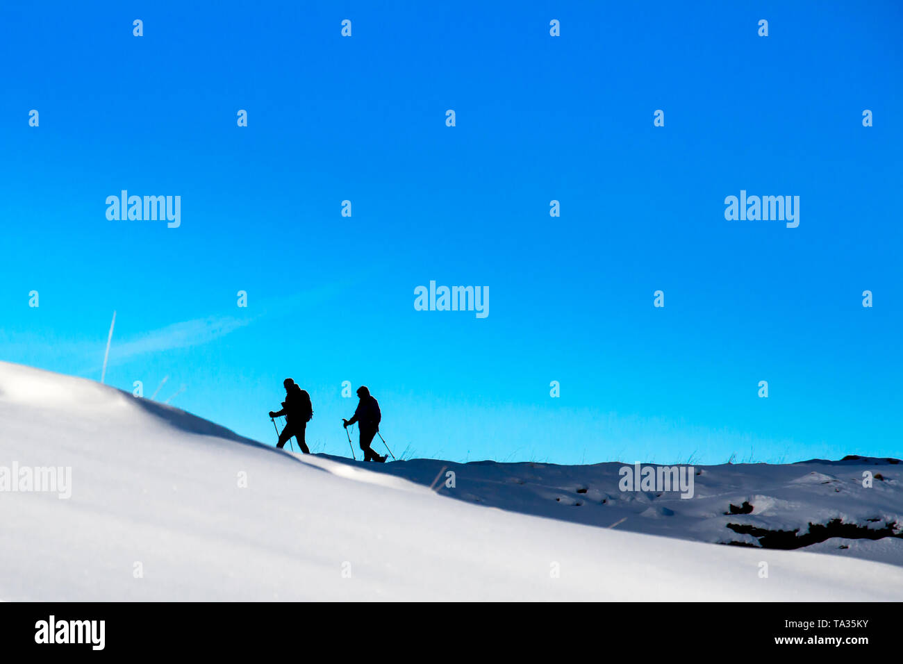 Silhouette di due escursioni con le racchette da neve Foto Stock