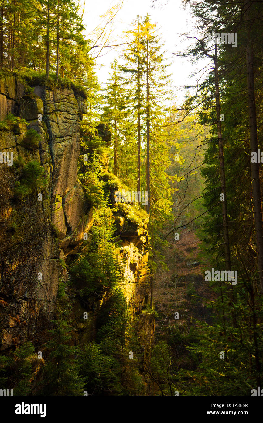 Raggi del sole in montagna incredibile burrone pieno di alberi di pino in Polonia Foto Stock