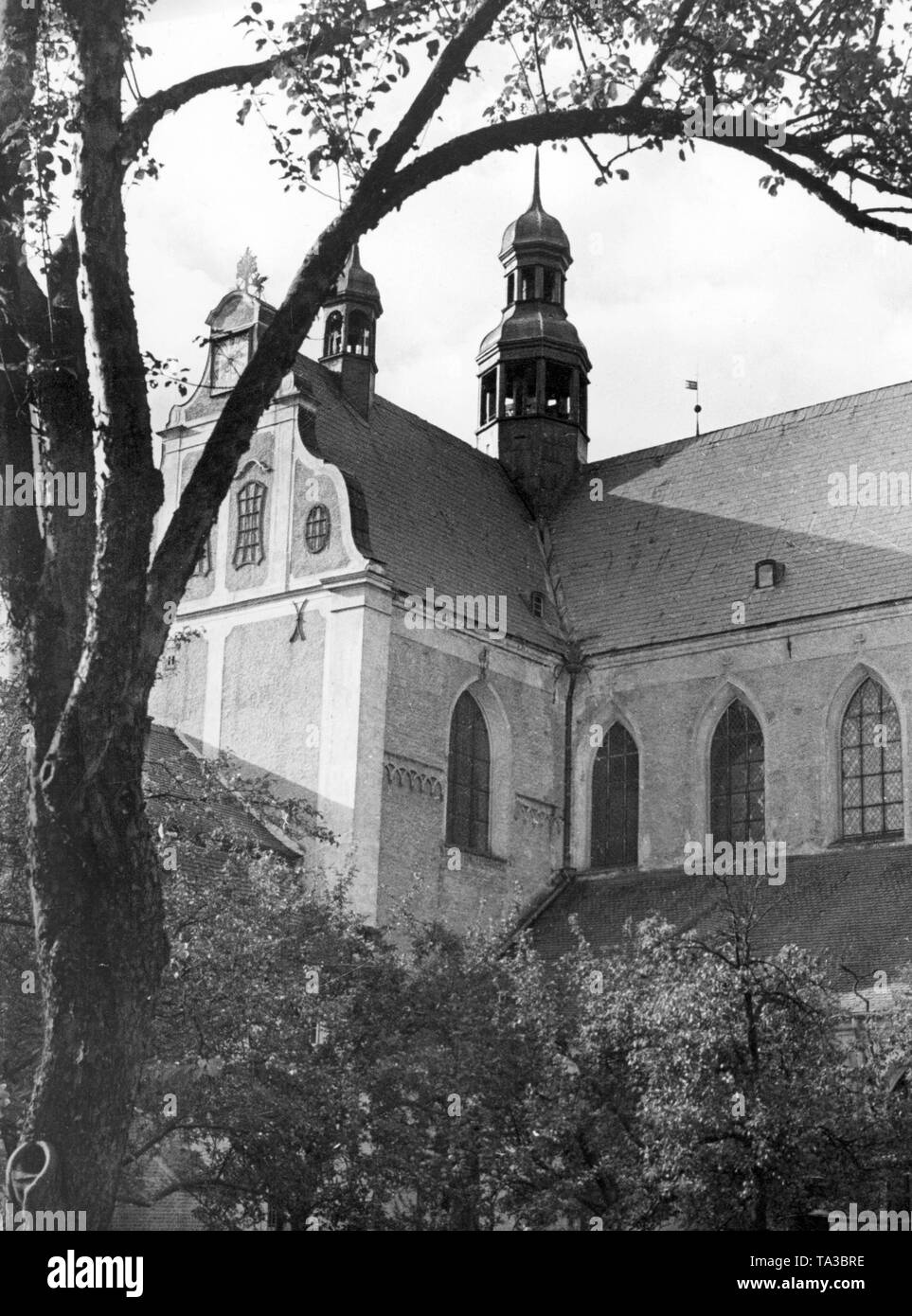 La foto mostra la Cattedrale di Oliwa in Gdansk. È dedicata alla Santissima Trinità, la Beata Vergine Maria e di San Bernardo. La basilica a tre navate è stata costruita alla fine del XII secolo dai monaci cistercensi e faceva parte di un monastero. Nel 1925, con la creazione di una diocesi da Papa Paolo VI, la chiesa è stata innalzata alla dignità di cattedrale. Foto Stock