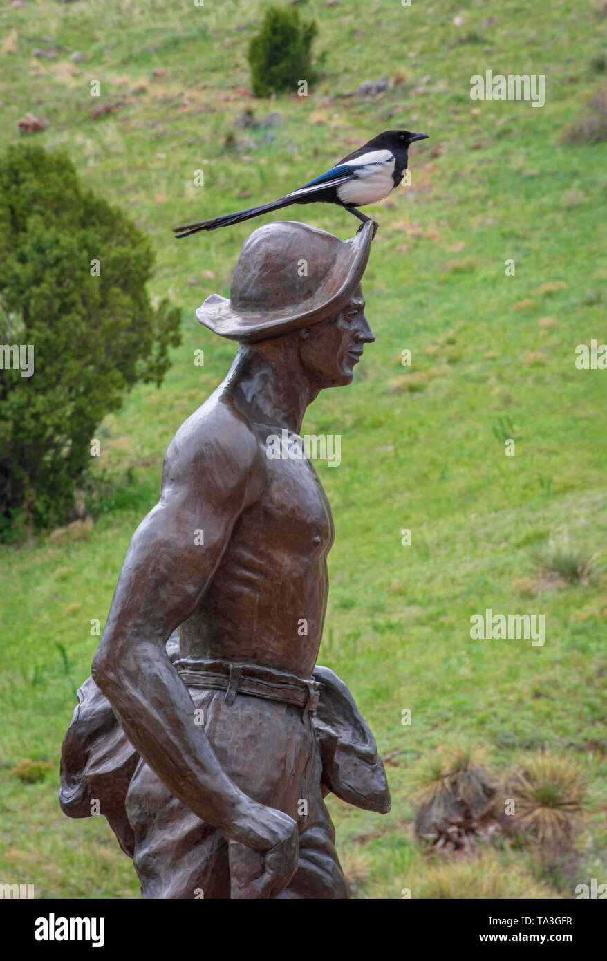 Nero-fatturati Gazza si siede in cima alla statua in bronzo in onore di conservazione civile Corp i lavoratori che hanno costruito scenic Red Rocks Parco anfiteatro- 1936 a 41. Foto Stock