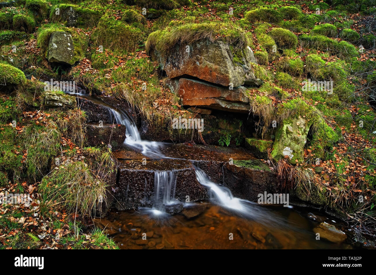 UK,Derbyshire,Peak District,Longshaw cascate Foto Stock