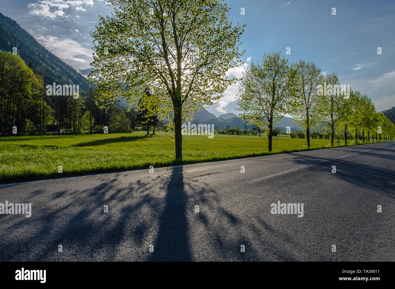 Il vialetto di Bayrischzell è di circa 5 km di lunghezza e di un buon 8% di pendenza per gestire bene. In parte la strada offre anche una pista ciclabile. Foto Stock Il vialetto di Bayrischzell è di circa 5 km di lunghezza e di un buon 8% di pendenza per gestire bene. In parte la strada offre anche una pista ciclabile. Foto Stock