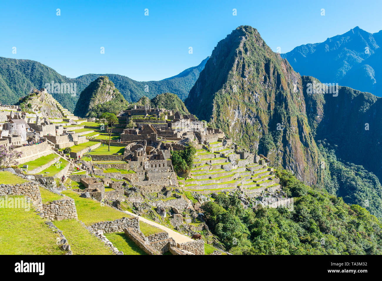 Le rovine Inca di Machu Picchu in estate, regione di Cusco, Perù. Foto Stock