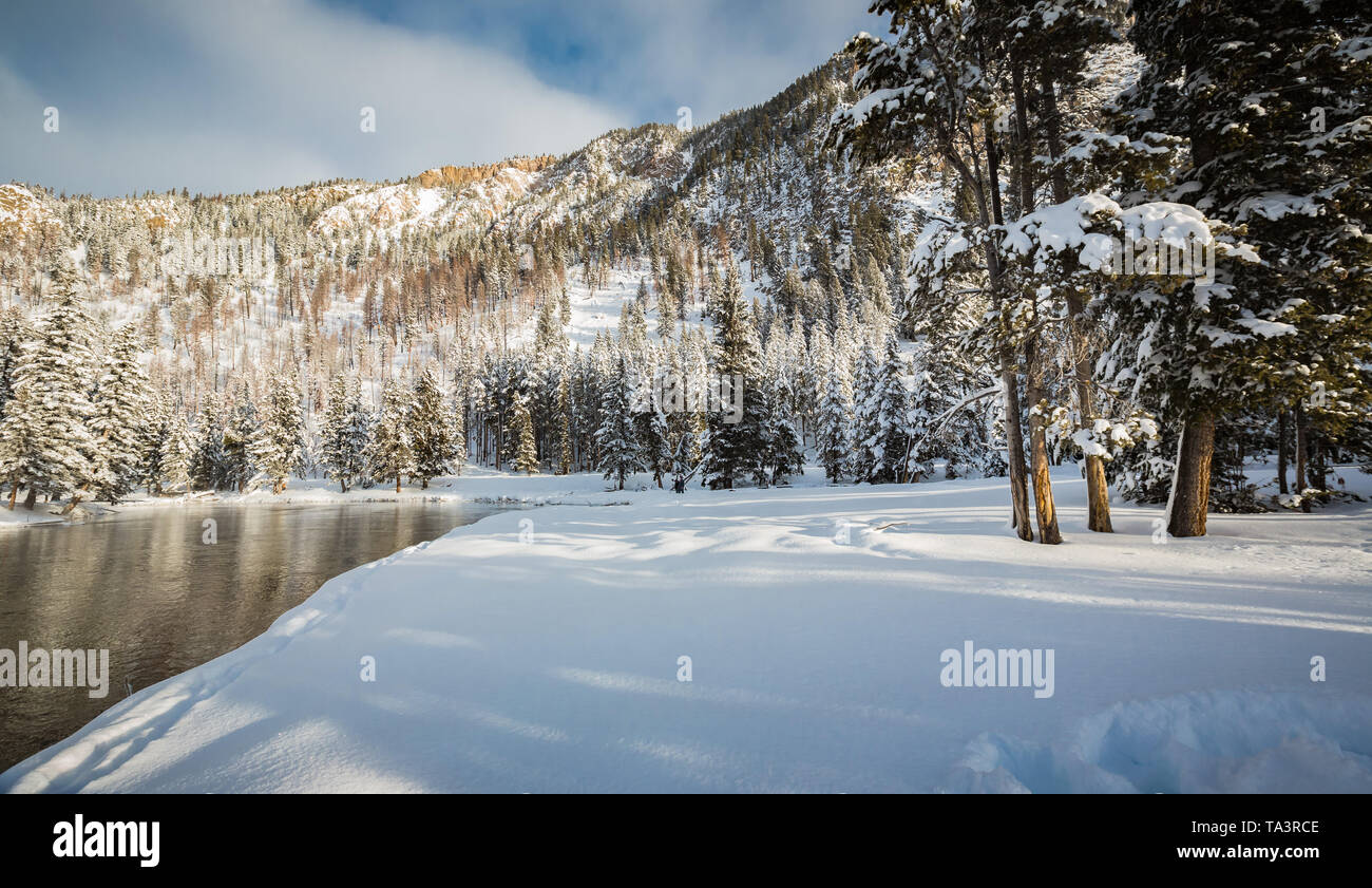 Fresco di neve caduti nel Parco Nazionale di Yellowstone in inverno Foto Stock
