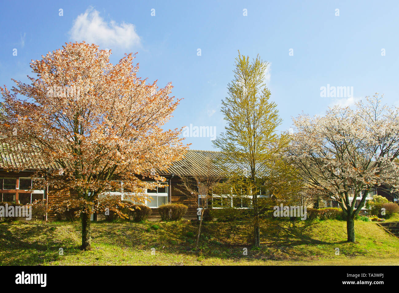 L'Aso Folkschool, Prefettura di Kumamoto, Giappone Foto Stock