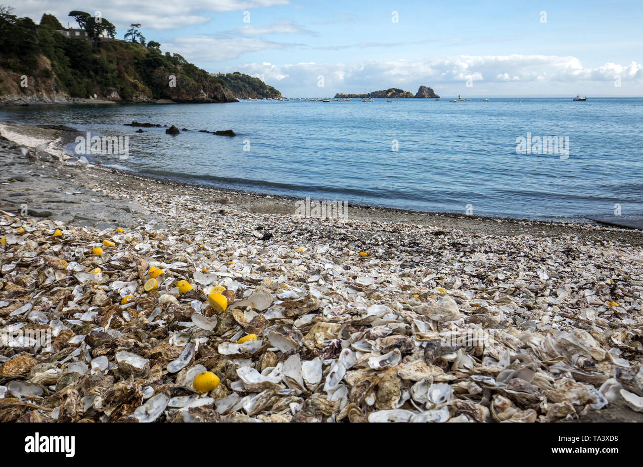 Migliaia di gusci vuoti di ostriche mangiato gettato sul pavimento del mare a Cancale, famoso per allevamenti di ostriche. Brittany, Francia Foto Stock