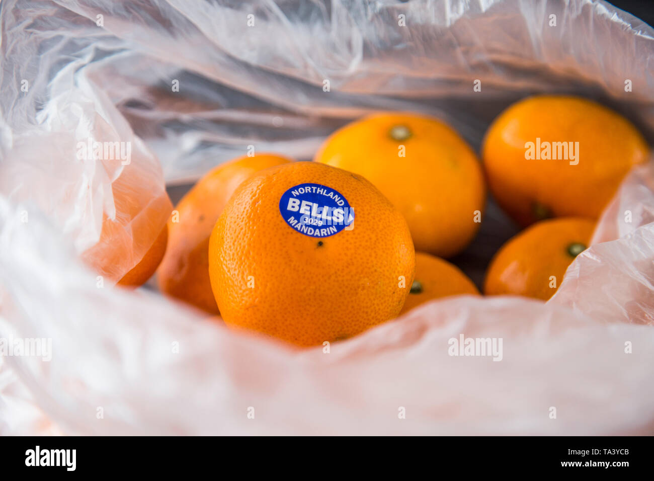 Mandarini acquistati al supermercato in un singolo uso di produrre una busta di plastica. Non rispettosi dell'ambiente. Bella la frutta di arancia, di marca con adesivo. Foto Stock