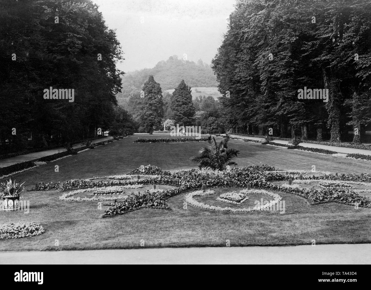 Vista di una disposizione del fiore della regina Carola (1833 1907), moglie di Re Alberto I di Sassonia, nel giardino del castello di Pillnitz in Sassonia. Foto Stock