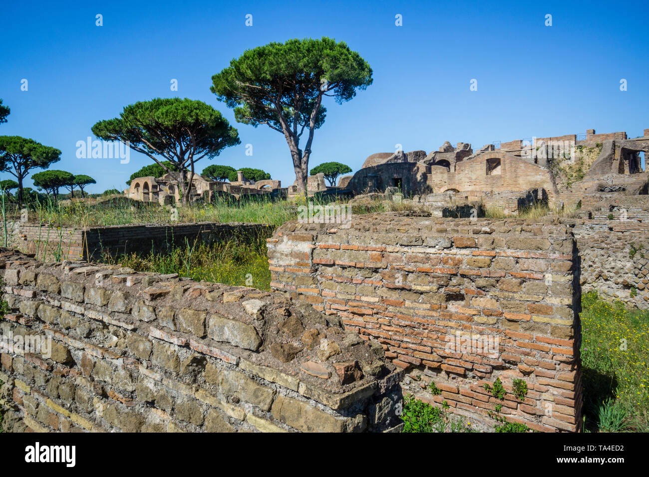 Vista del tempio di Serapide e casa degli aurighi da Via della foce nel sito archeologico dell'insediamento Romano di Ostia Antica, una Foto Stock