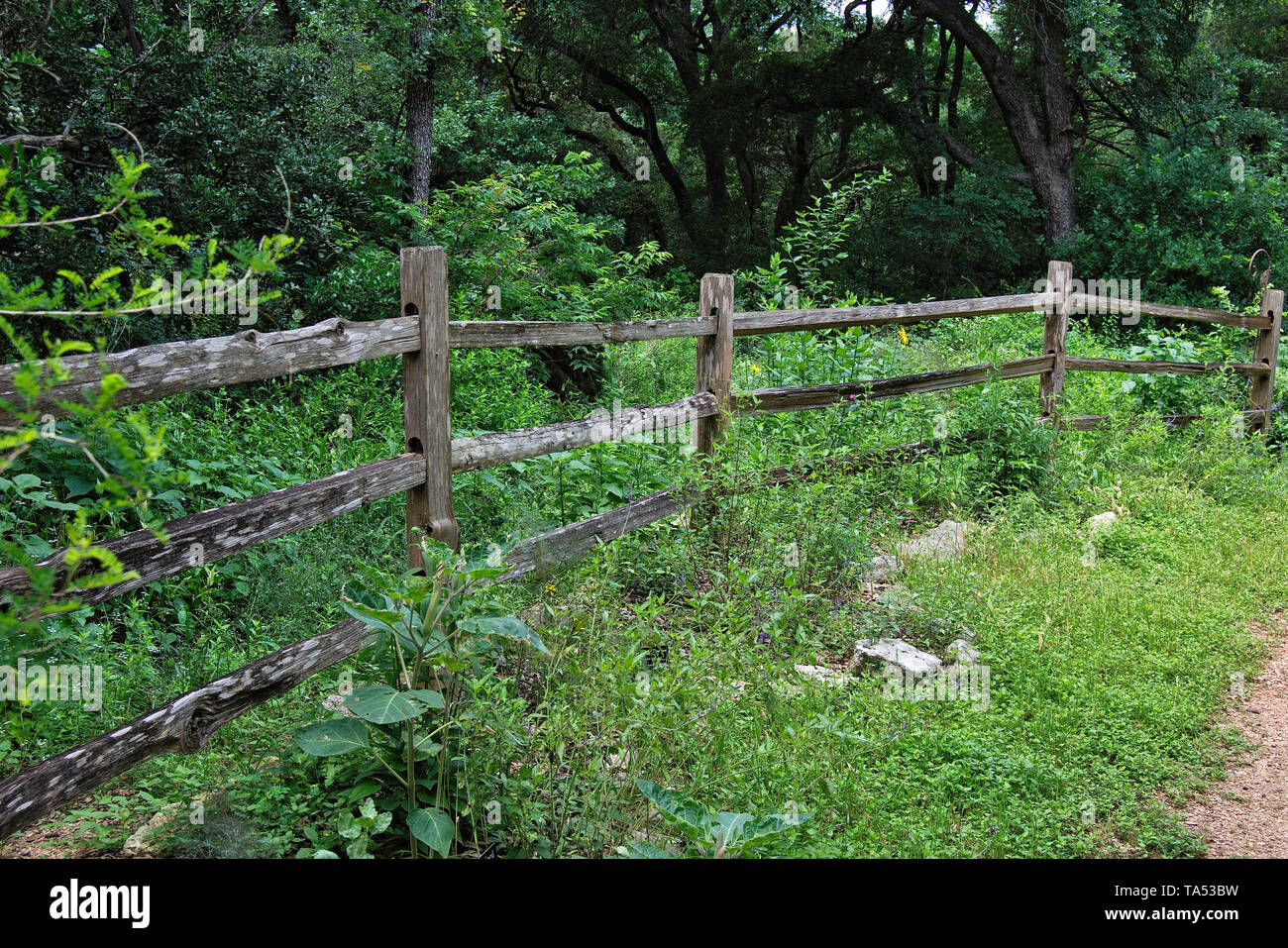 In legno rustico split cancellata nella vegetazione lussureggiante con  alberi in background Foto stock - Alamy