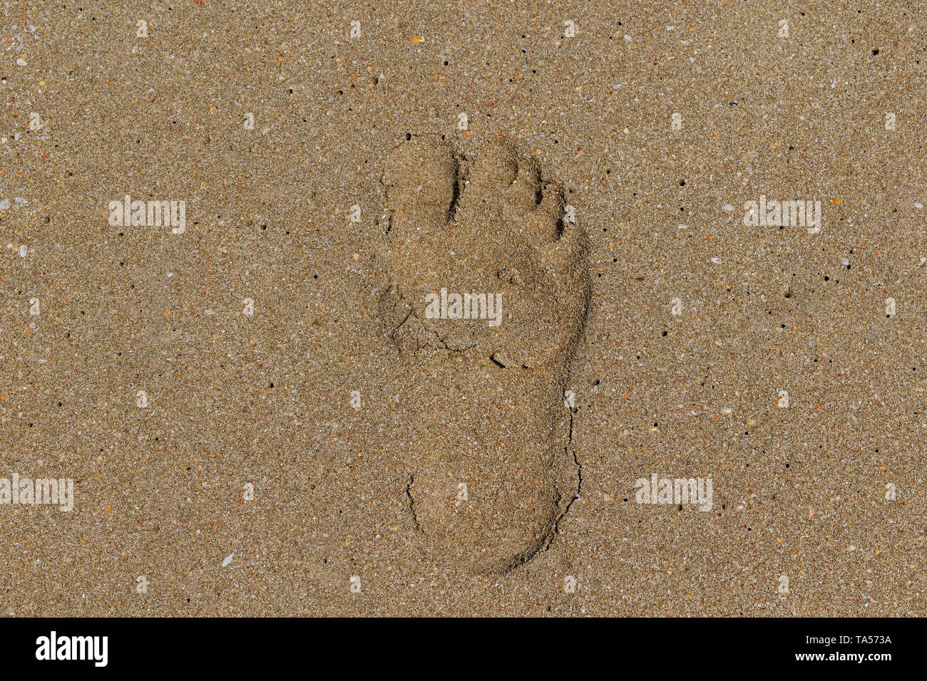 Impronta umana sulla sabbia. Foto Stock