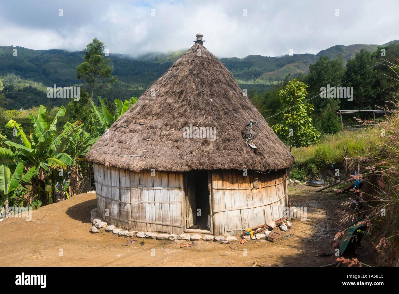Tradizionale baita reed con piante di banana in giro per le montagne di Maubisse, Timor orientale Foto Stock
