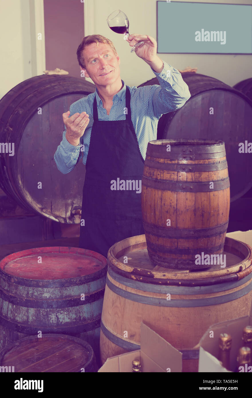 Venditore attraente uomo che indossa il grembiule che suggerisce di provare un bicchiere di vino in cantina Foto Stock