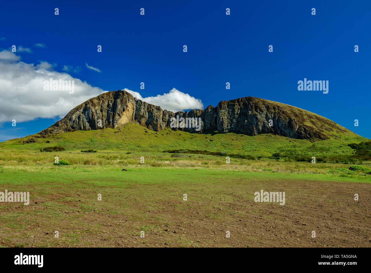 Rano kau Moai cava in Isola di Pasqua Foto Stock