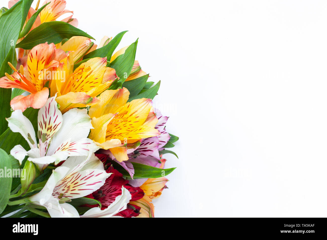 Bouquet di fiori colorati alstroemeria su sfondo bianco. Lay piatto. Orizzontale. Mockup con copia spazio per biglietto di auguri, social media Foto Stock