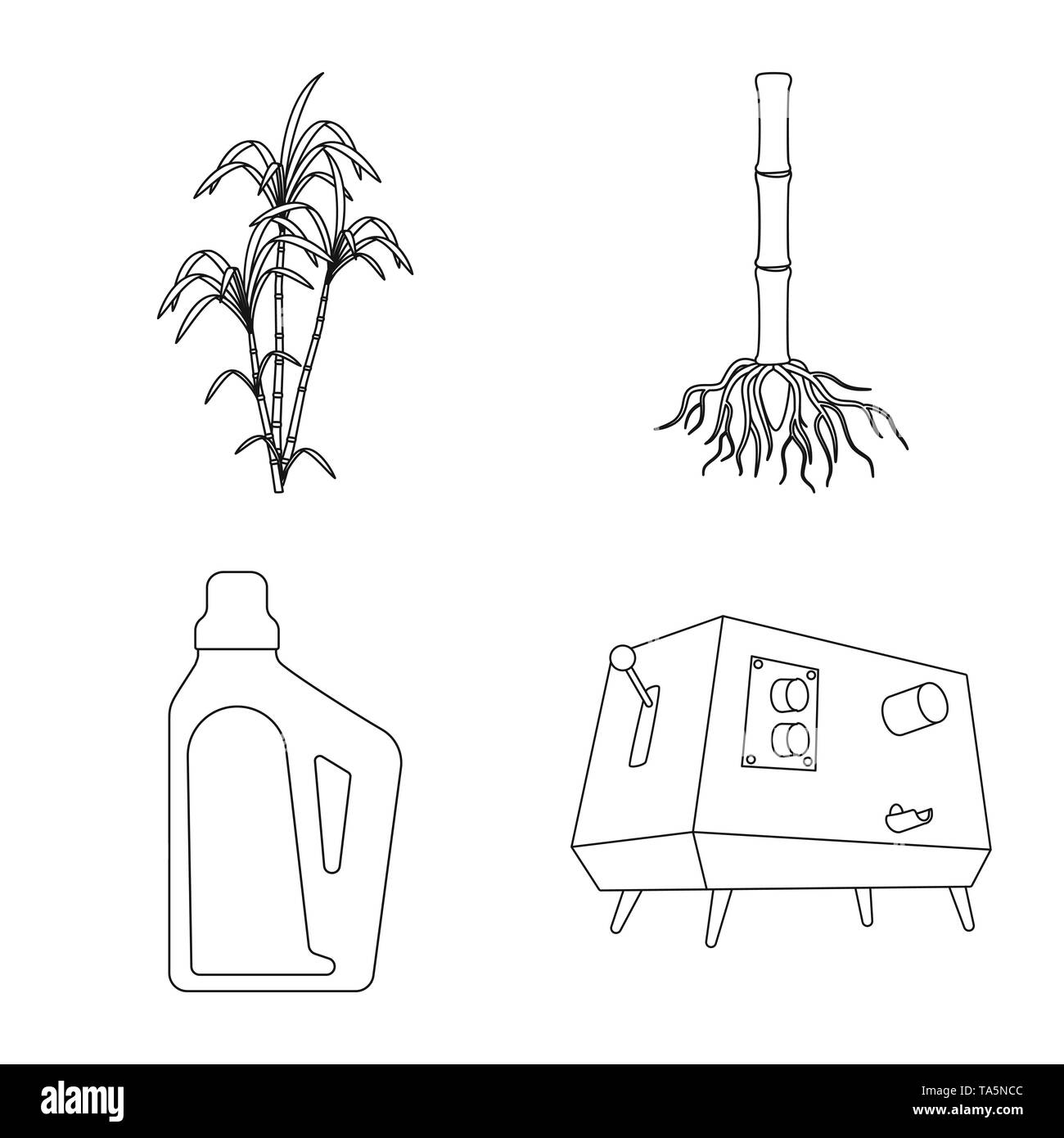 Bush,root,Casa,spremiagrumi,palm,sistema,prodotti chimici,macchina,pilastro,procedimento,capacità,APPARECCHIATURA,verde,sviluppo,storage,bere,l'africa,base,contenitore,frutta,l'india,organic,imballaggio,attrezzature,crescita,stelo,automatico,ramo,zucchero,campo,impianto,plantation,agriturismo,l'agricoltura,saccarosio,technology,la canna da zucchero, la canna da zucchero,impostare,vettore,icona,immagine,isolato,raccolta,design,l'elemento,graphic,segno,contorno,linea vettori vettore , Illustrazione Vettoriale
