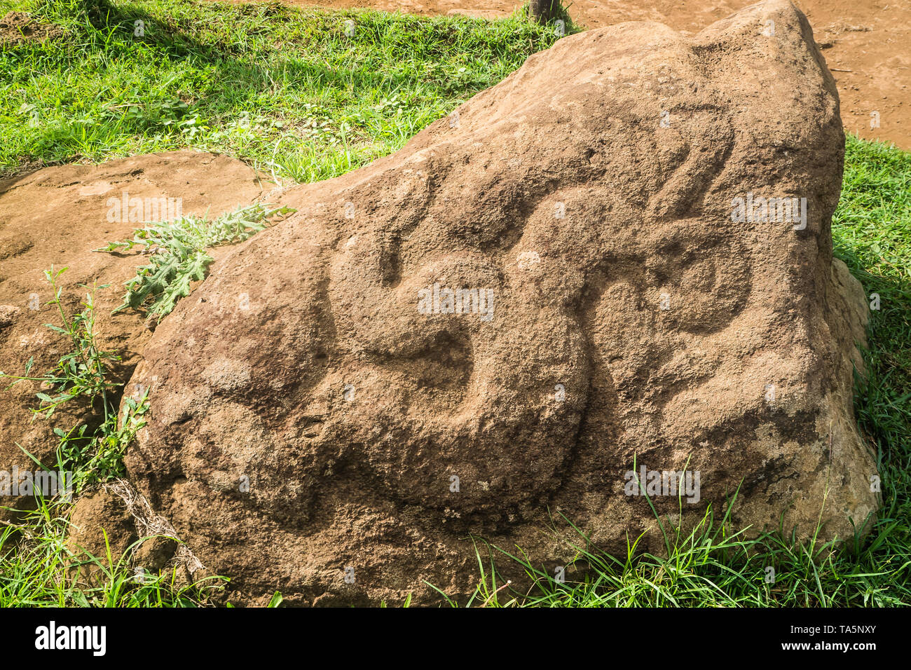 Petroglyph dell'uomo uccello Tangata manu in Rano Kao vulcano sull isola di pasqua. Rapa Nui cultura Cile Foto Stock