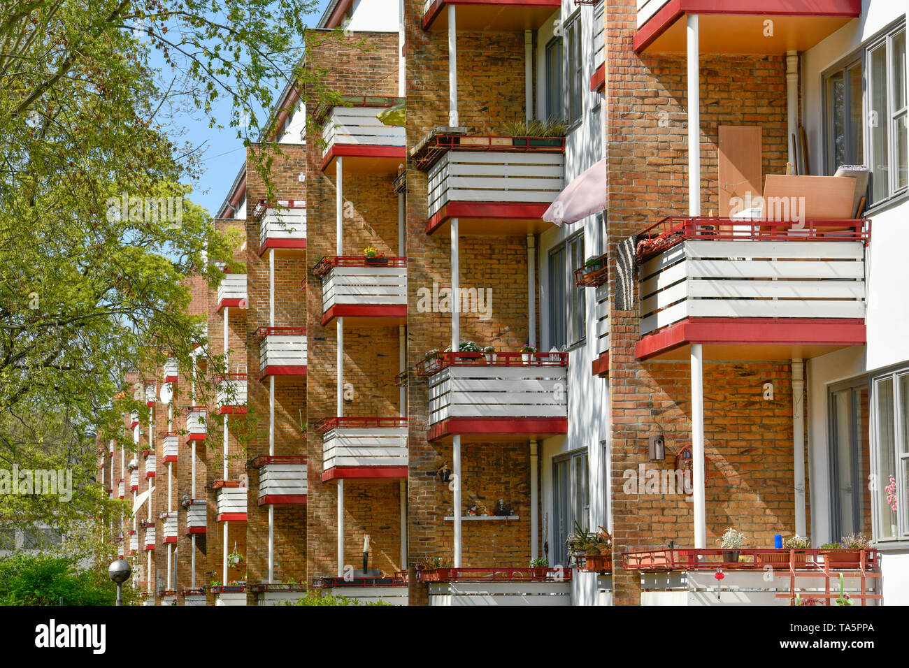 "Costruzioni residenziali di Otto Bartning ''lungo la miseria", Göbelstrasse, grande insediamento Siemensstadt, Spandau, Berlino, Germania", Wohnbauten von Ot Foto Stock