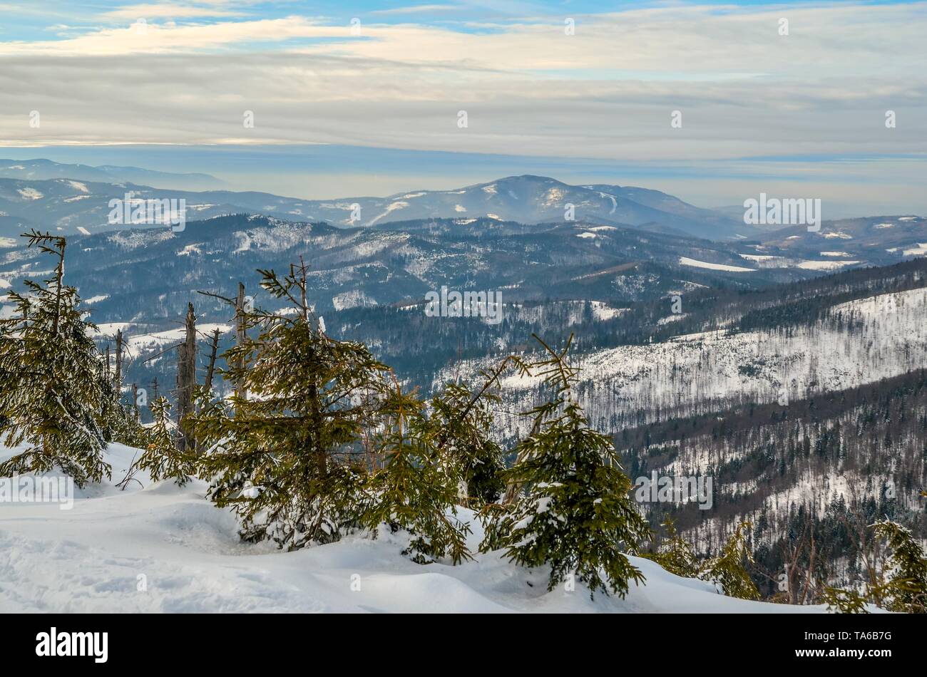 Inverno bellissimo paesaggio di montagna. Magica pendici innevate nelle montagne polacche. Foto Stock