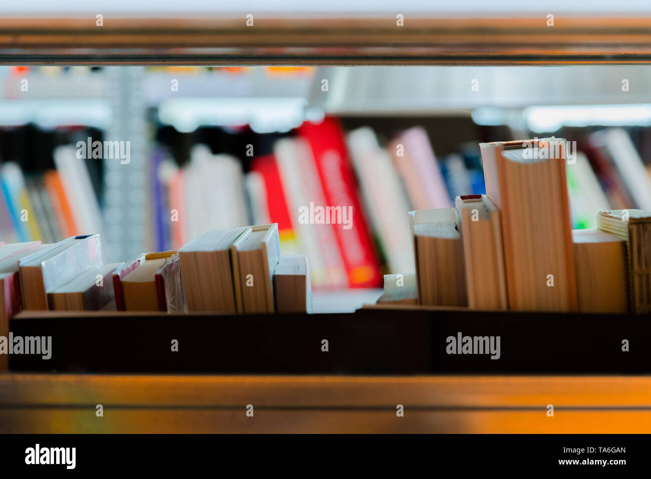 Libri in uno scaffale nella libreria. Selezione di letteratura, la preparazione per gli esami Foto Stock