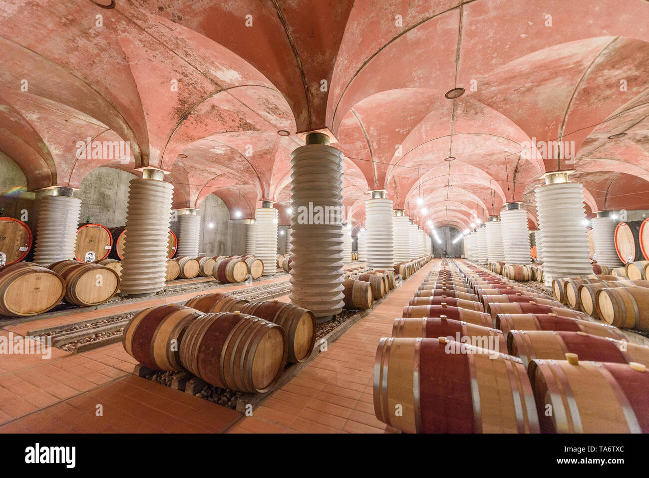 Petra winery, Suvereto, Toscana, Italia Foto Stock