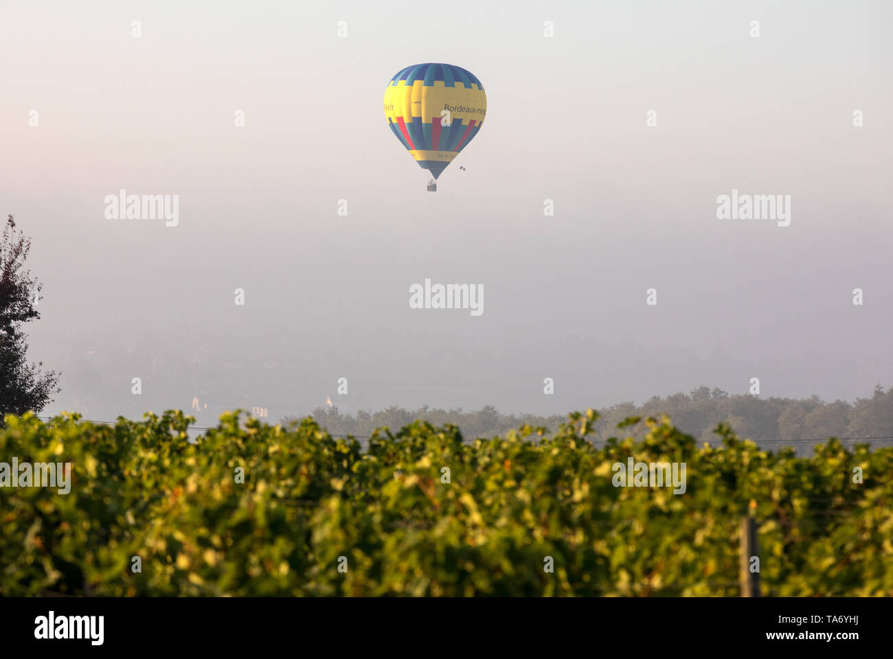 Saint Emilion, Francia - 10 Settembre 2018: Aria palloncino volare al mattino sui vigneti vicino a Saint Emilion. Gironde, Francia Foto Stock