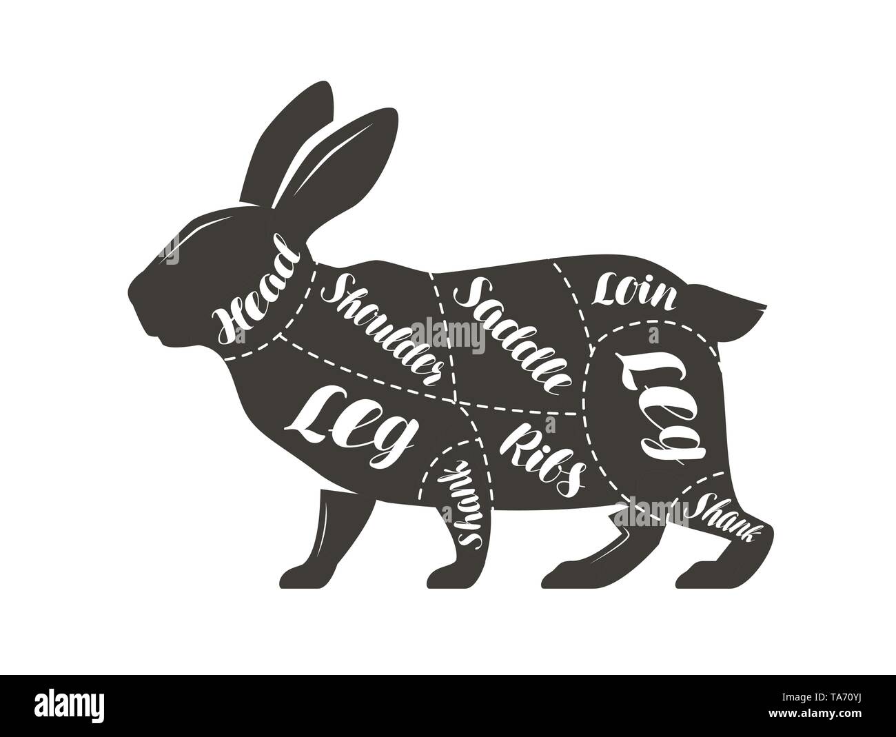 Taglio di carne di coniglio. Poster schema di macellaio e schema, illustrazione vettoriale Illustrazione Vettoriale