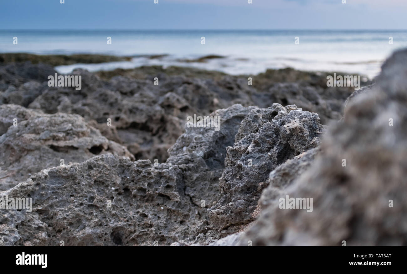 Rocce costiere closeup visualizzare lo sfondo Foto Stock