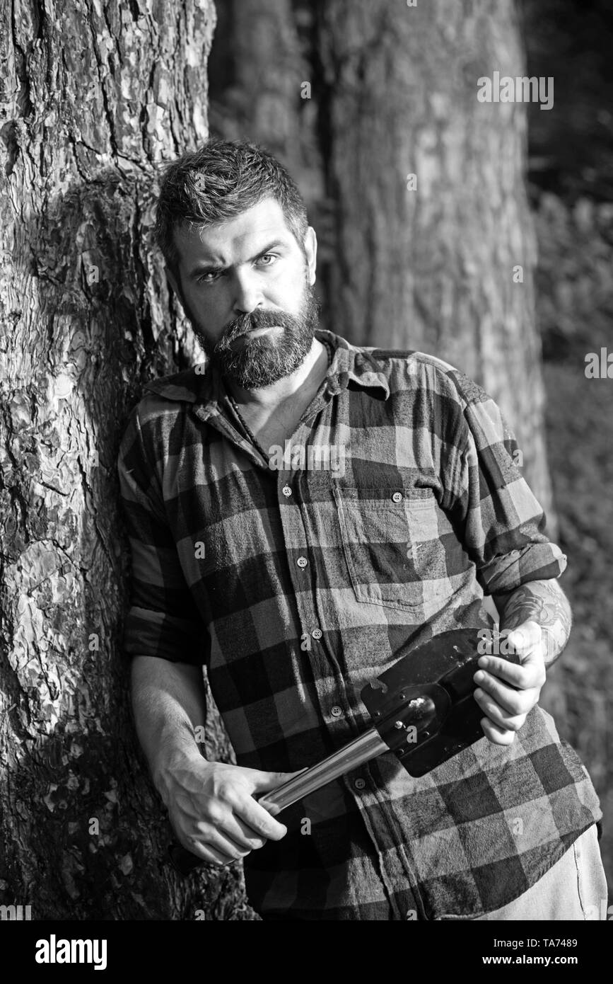Lumberjack brutale azienda piccola vanga ed appoggiata sul vecchio albero.  Hipster con elegante barba vagare nel deserto. Giovane scienziato  concentrato Foto stock - Alamy