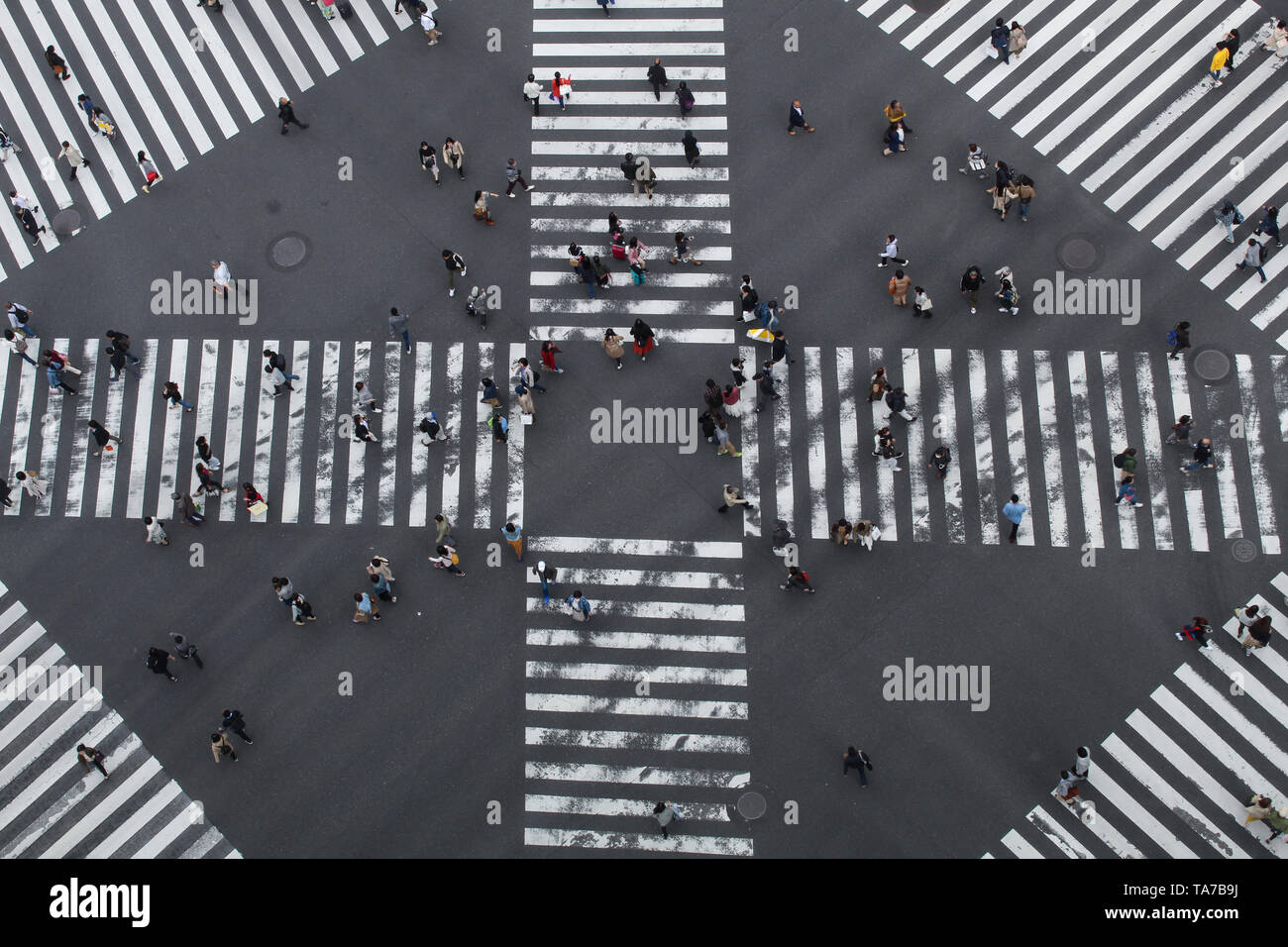 Una vista di una traversata scramble da sopra a Ginza Tokyo Foto Stock